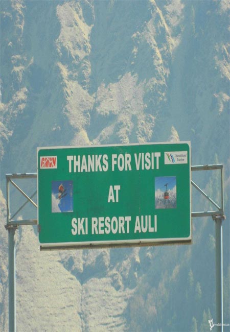 Auli