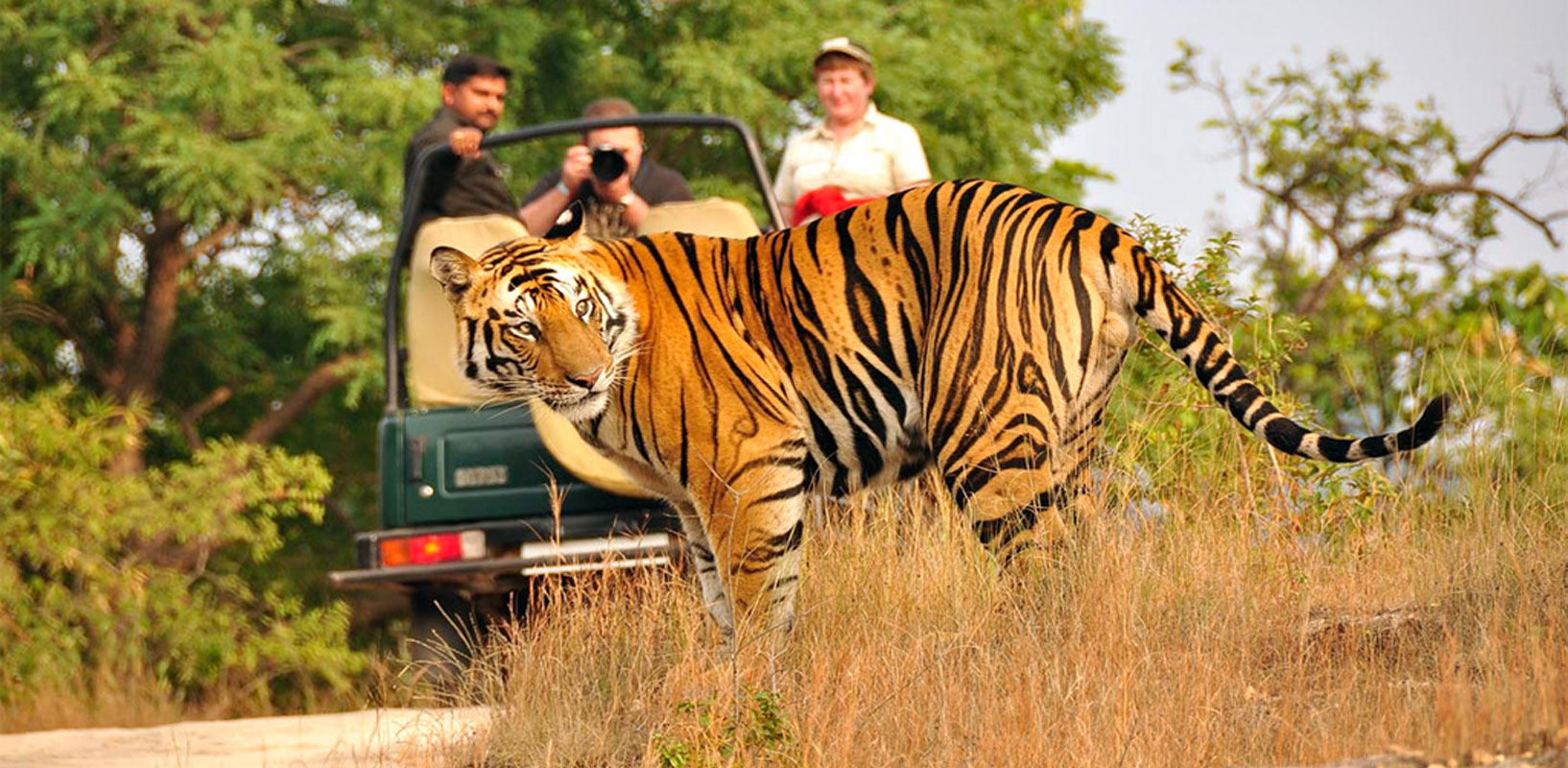 corbett-tourism