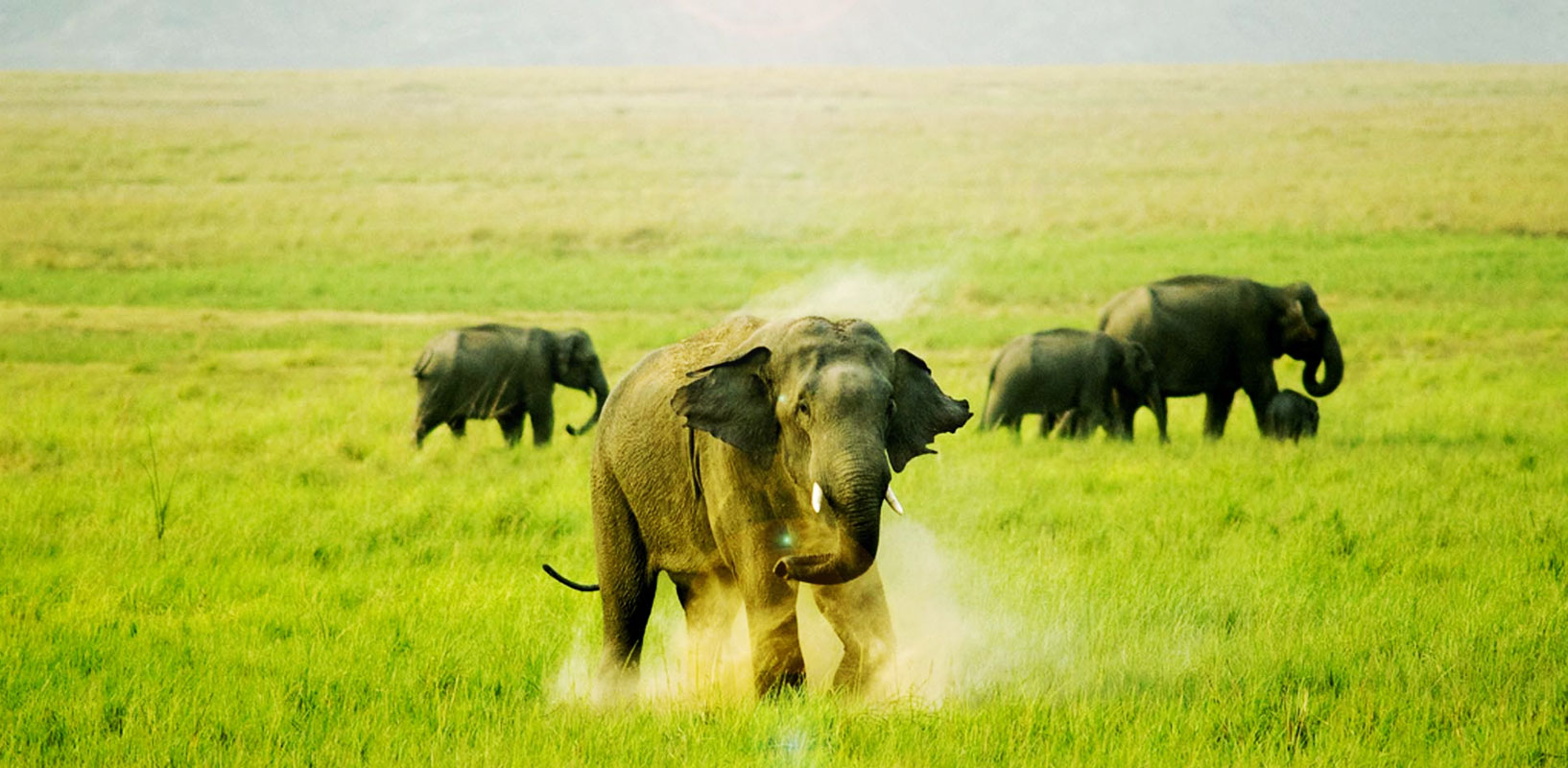 jim-corbett-national-park-tourism