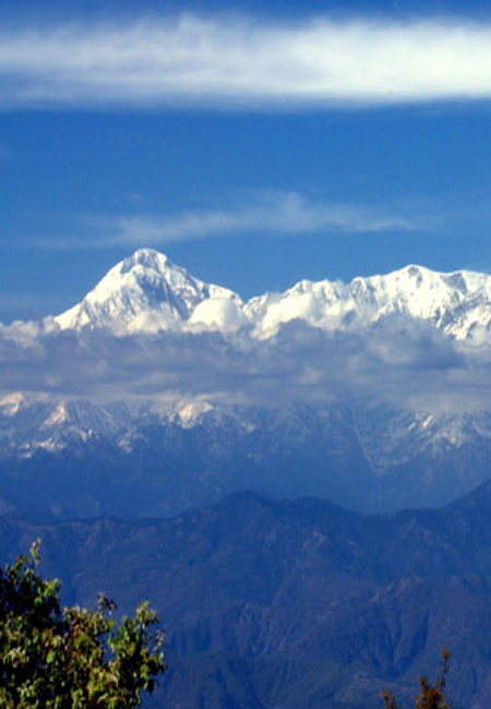 Binsar Excursions