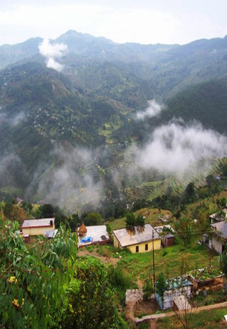 Binsar Images