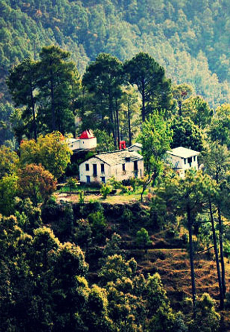 Places to visit in Binsar