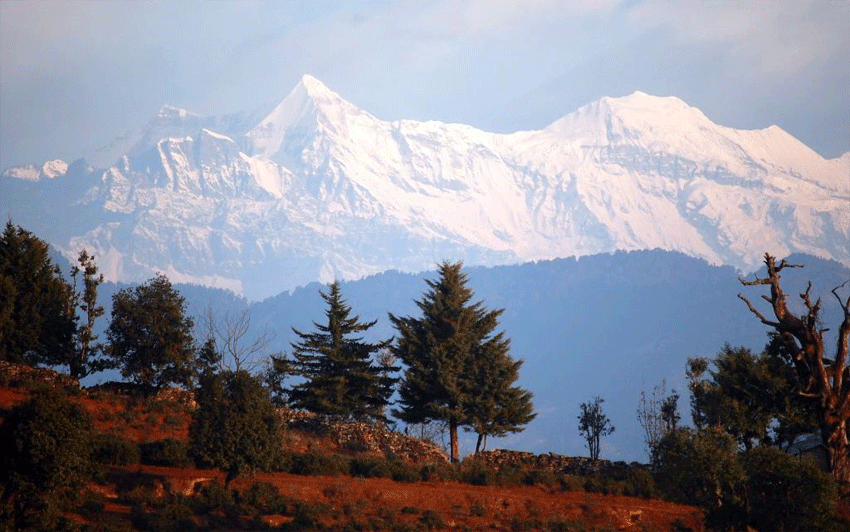 Chaukori Tourism