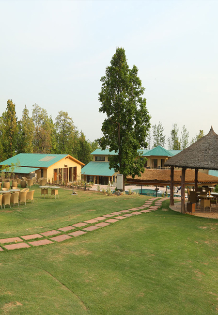 Corbett National Park Hotels