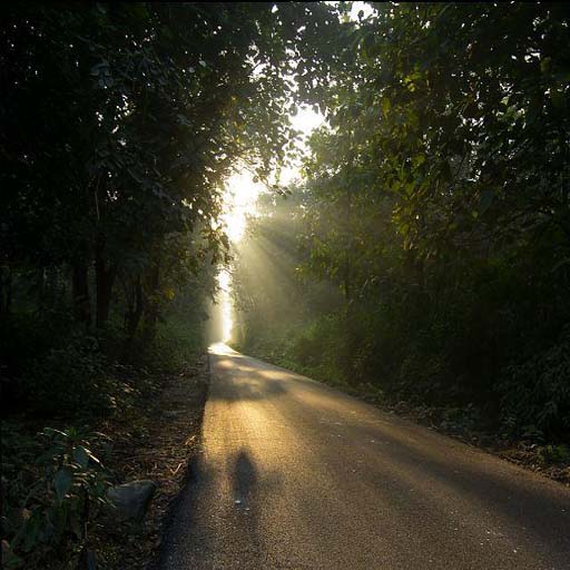 Images for Ranikhet