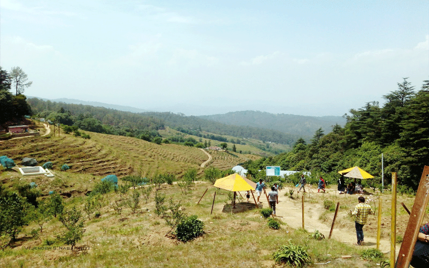 Chaubatia Garden Ranikhet