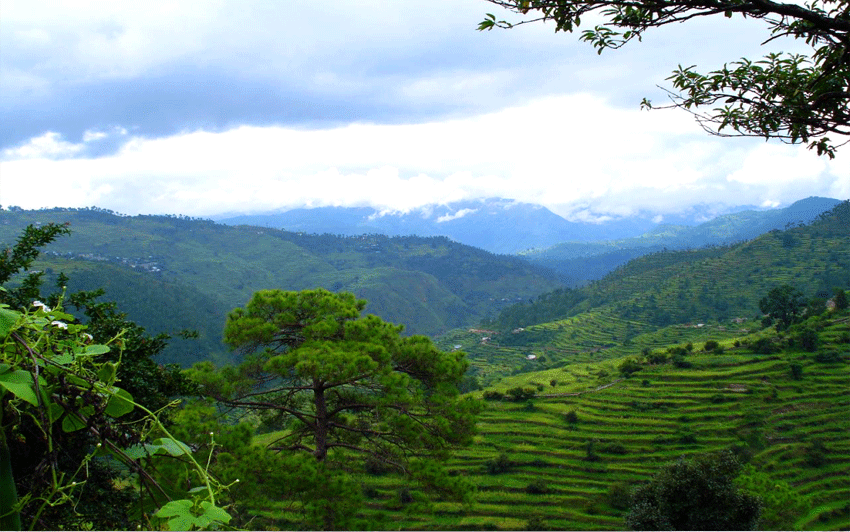 About Ranikhet