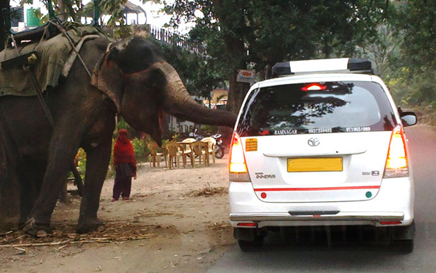 Corbett National Park Taxi