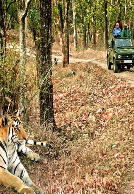 Corbett Tour Package from Kathgodam