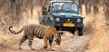 Jim Corbett National Park